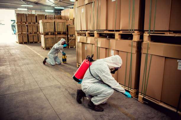 Best Bed Bug Extermination  in Mount Kisco, NY