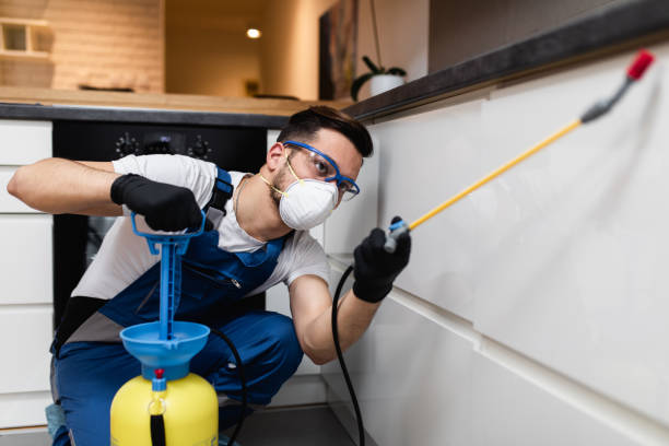 Best Insect Control  in Mount Kisco, NY
