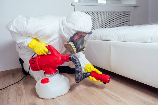 Flea Control Services in Mount Kisco, NY