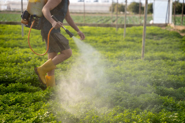 Best Commercial Pest Control Services  in Mount Kisco, NY
