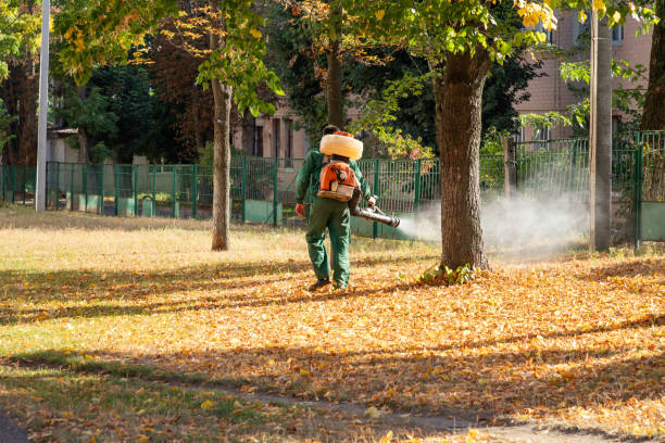 Best Affordable Pest Control Services  in Mount Kisco, NY